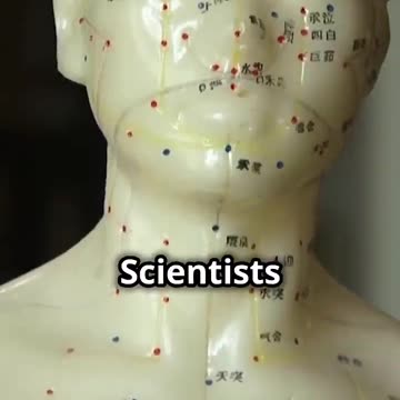 Unraveling the Secrets of Ancient Mummy Tattoos!!