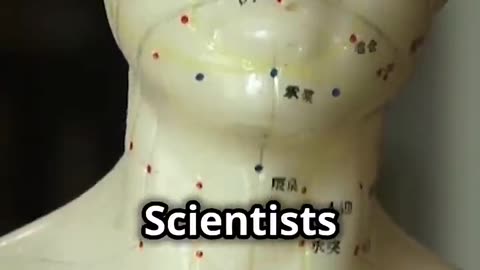 Unraveling the Secrets of Ancient Mummy Tattoos!!