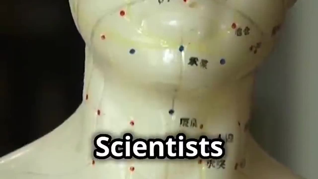 Unraveling the Secrets of Ancient Mummy Tattoos!!