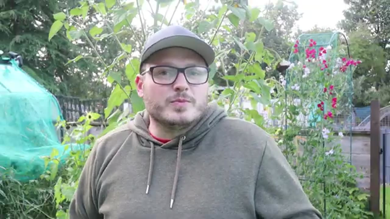 Create a Budget-Friendly Mini Hydroponics System