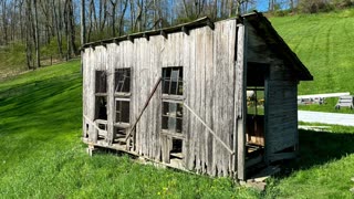 "From Hatch to Hen: How We Raise Chickens on the Cheap!"