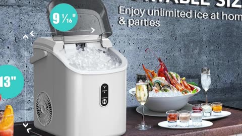Nice Icemaker
