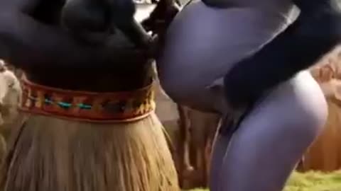Animal Funny video