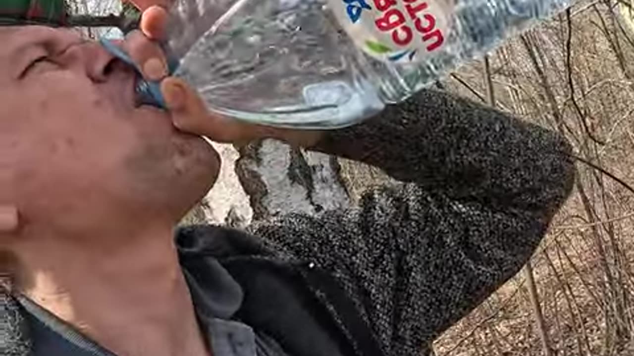 ОТец берёт берёзовый сок 1 апреля