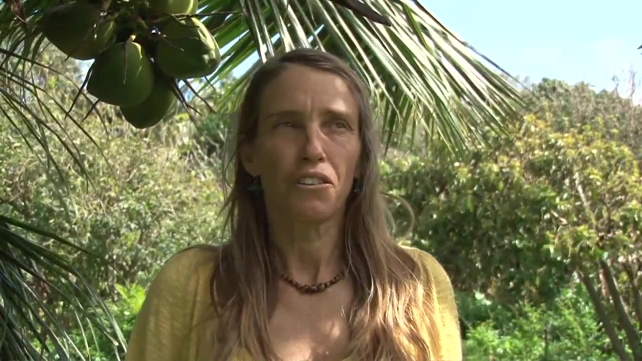 Why in the World are They Spraying (2012)