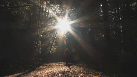 Start Your Day with Positive Energy: Guided Morning Meditation