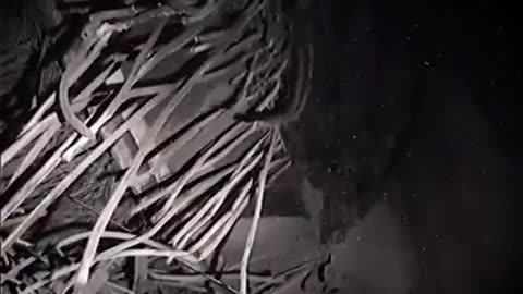 ☢️ Chernobyl Reactor Pit Explored: Intense Radiation Captured in Sergei Koshelev’s Shocking Footage