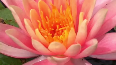 Become One with the Universal Consciousness
