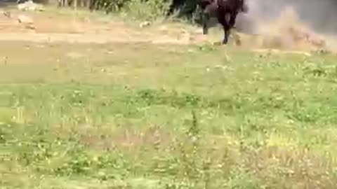 A Cowboy's Last Wish Ride on His Favorite Horse