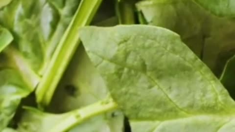 Why Green Leafy Vegetables Are the Ultimate Superfood