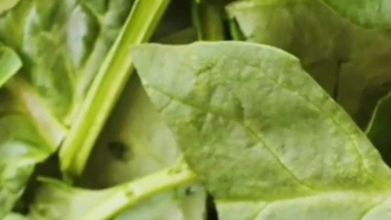 Why Green Leafy Vegetables Are the Ultimate Superfood