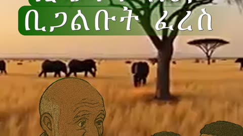 Ethiopian Proverb | የሕይወት ትምህርት በአንድ ምሳሌ