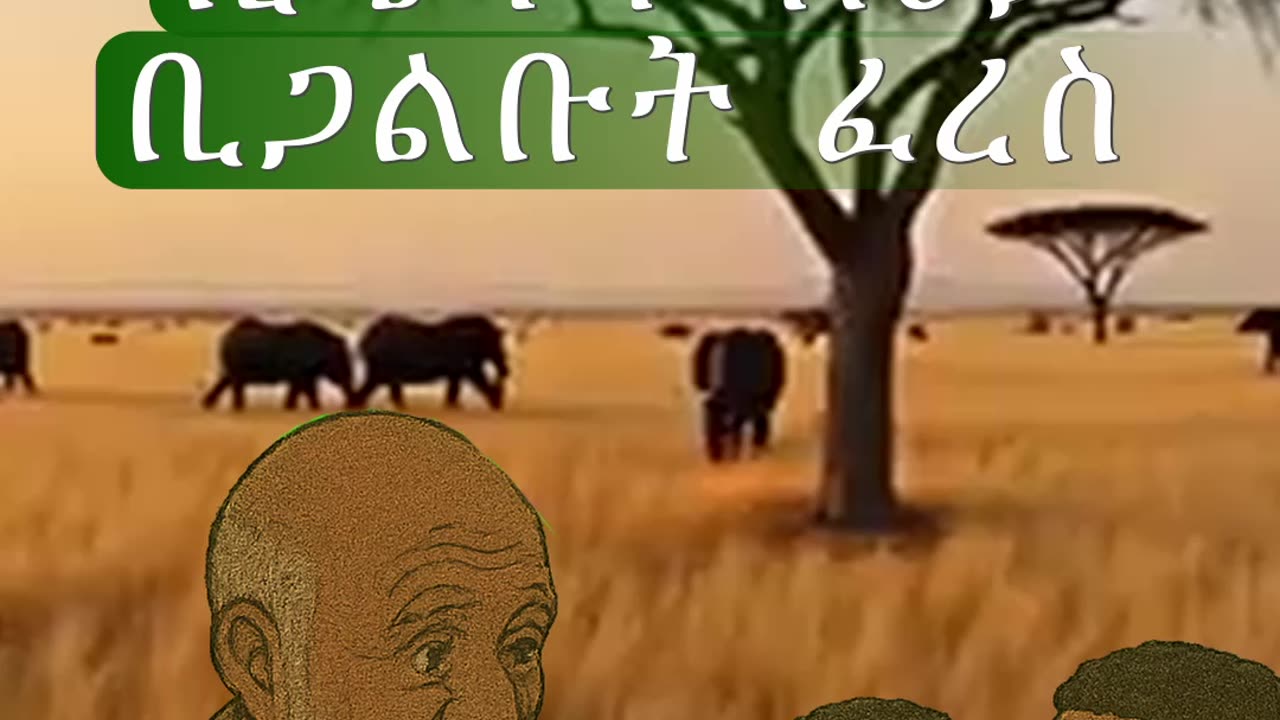 Ethiopian Proverb | የሕይወት ትምህርት በአንድ ምሳሌ