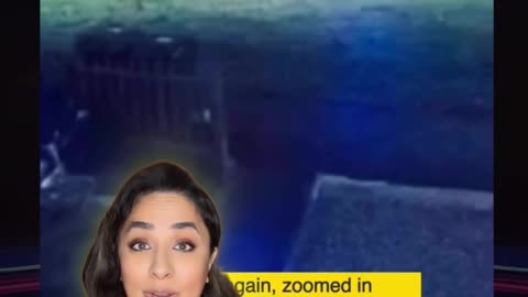 Cloaked UFO Landed in My Yard!