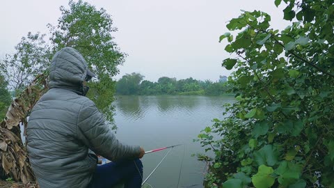Sturgeons Ancient Voyage Across the Lake