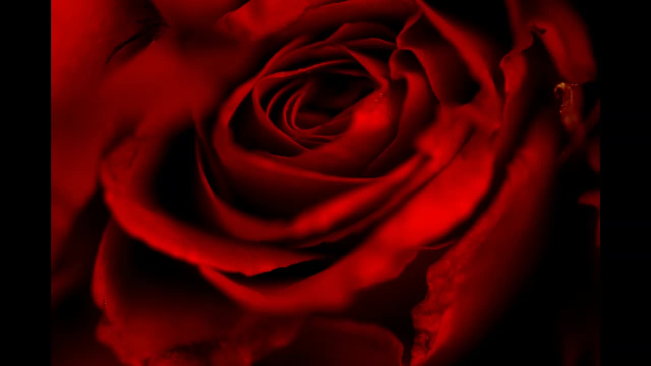 Lord Winter - Romantic