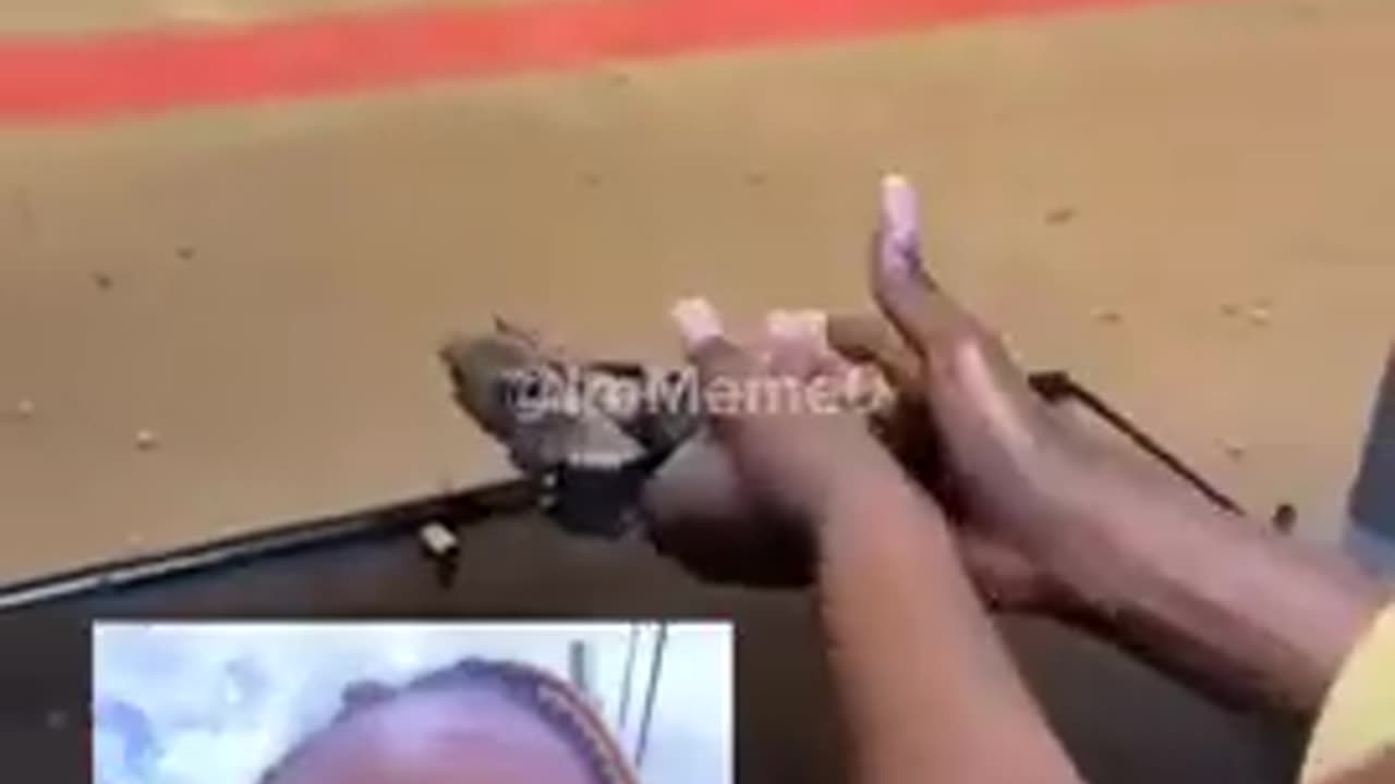 SHEBOON NIGGER WHO POSTED ABOUT THE MISSING WHITE GIRLS WENT FULL COMMANDO COME GET ME WHITEY