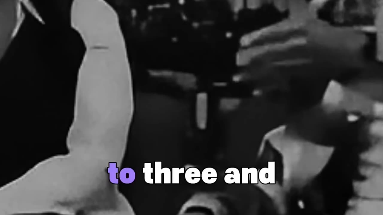 Born to be cat ladies