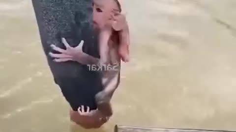 Kind man saved money stuck in net