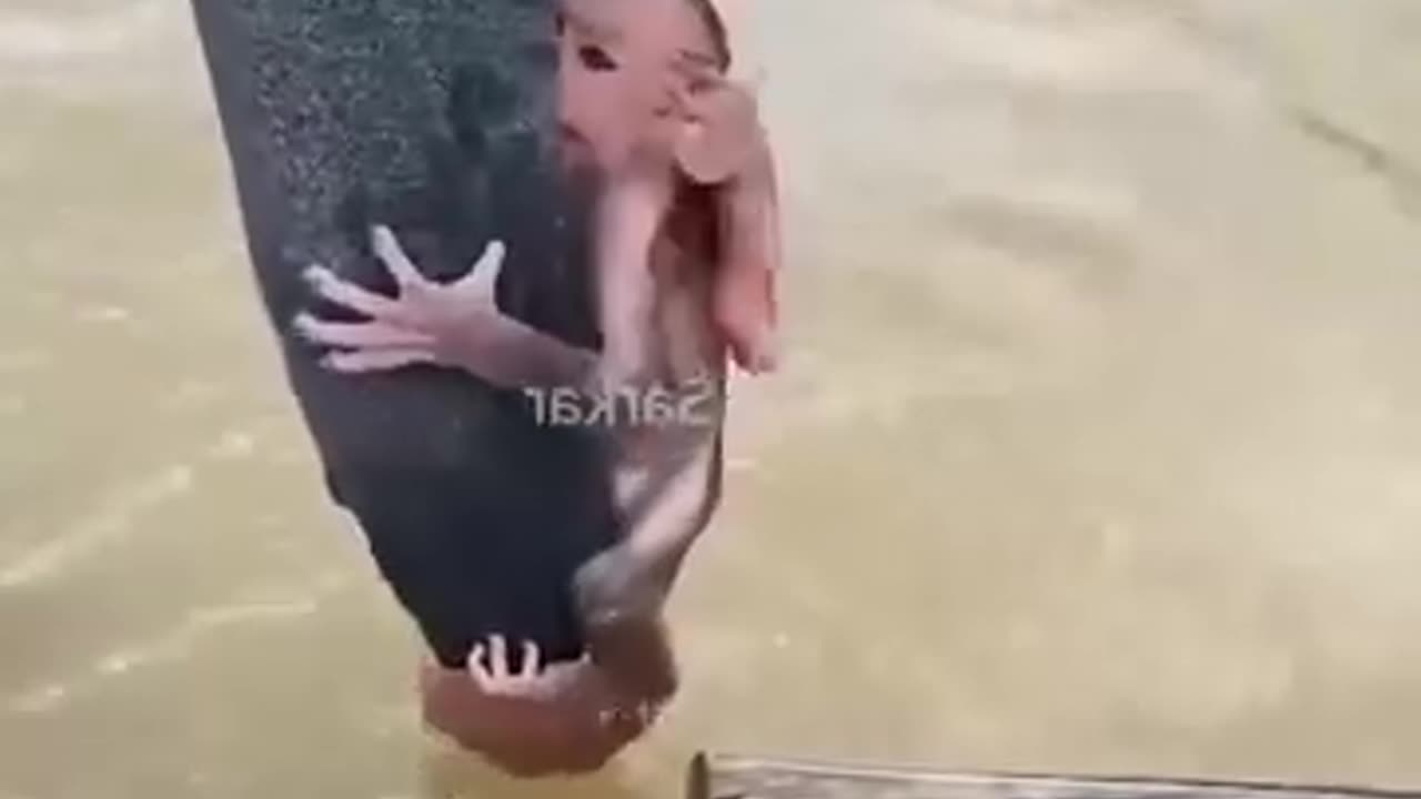 Kind man saved money stuck in net