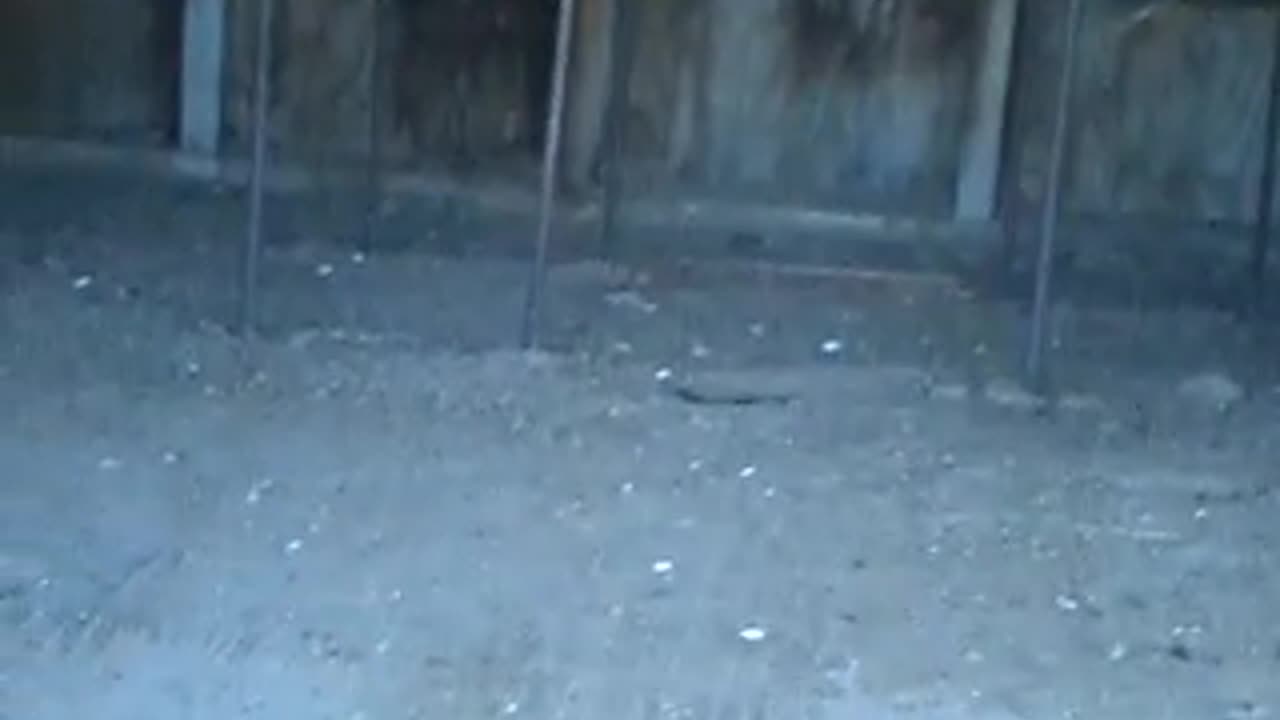 Dad took me to see some beehives!