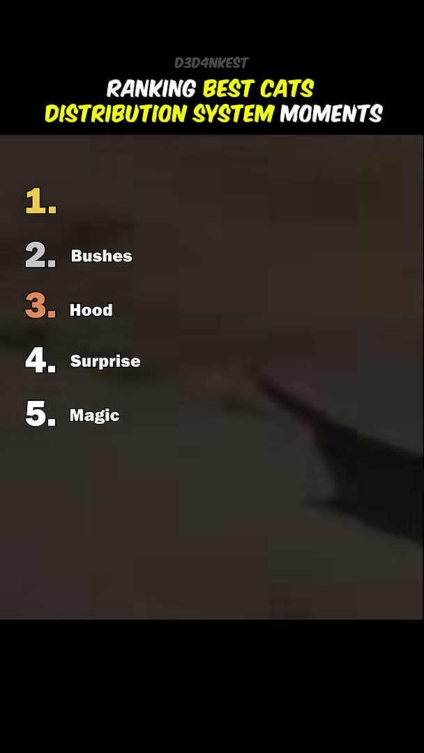 Ranking Best Cats Distribution System Moments