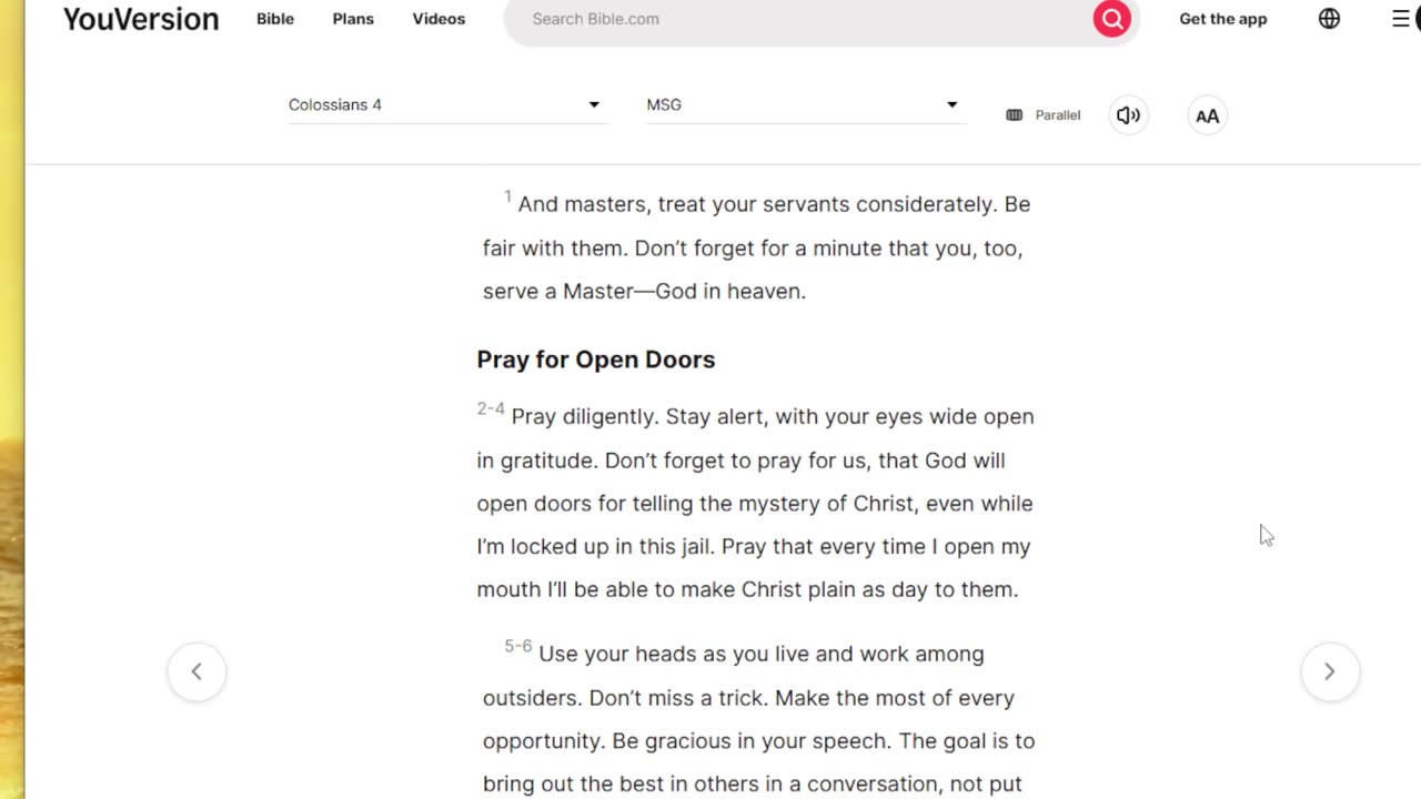 bible read