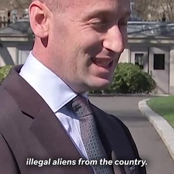 Stephen Miller Argues District Judge Has 'No Authority' To Halt Deportation Flights