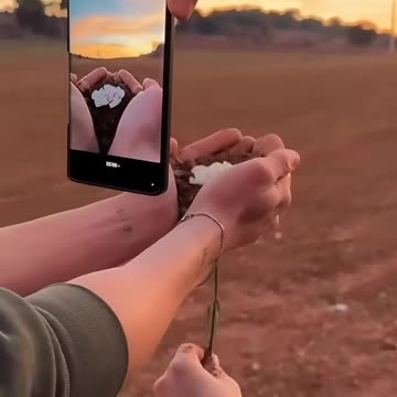 Light and shadow innerweave : exploring the asthetic world on photography