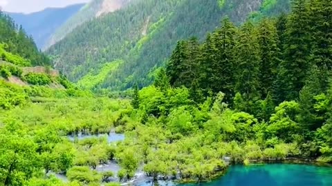 Jiuzhaigou: A Fairyland Where Waterfalls Sing and Lakes Glow