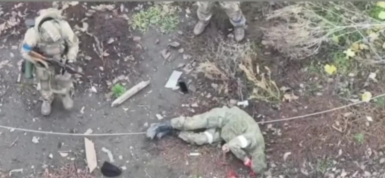 Warning: graphic footage +18