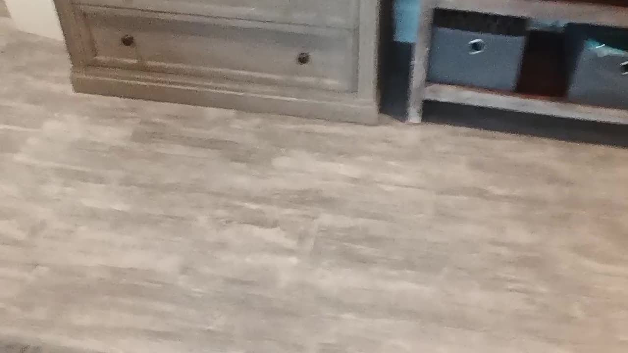 I'm back, bitches! Happy almost Halloween! Part 2 READ DESCRIPTION