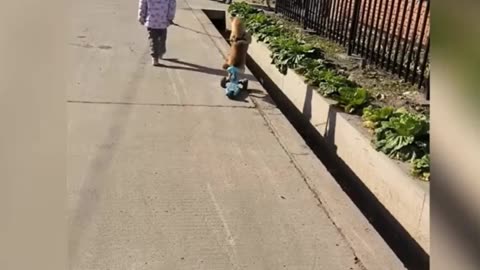 Kittens 1