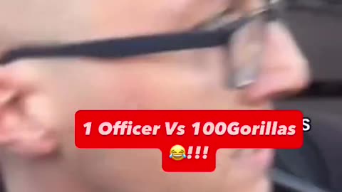 PC Harry Potter Getting His Daily Dose Of Diversity In Leicester