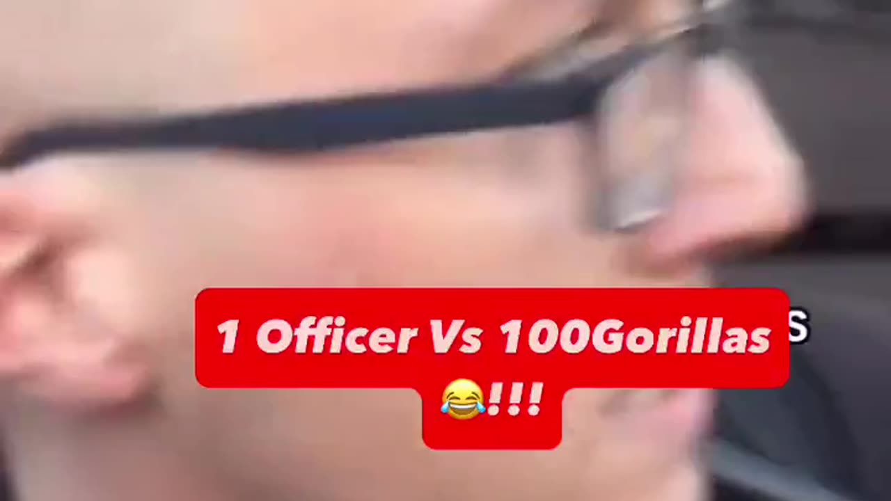 PC Harry Potter Getting His Daily Dose Of Diversity In Leicester