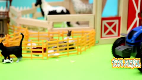 Five Dairy Cows Enter the Farm to Have Their Milk Taken in the Morning