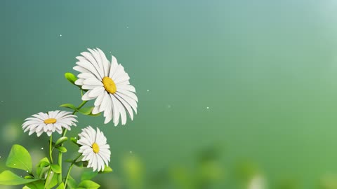 flower animation for wedding invitation background