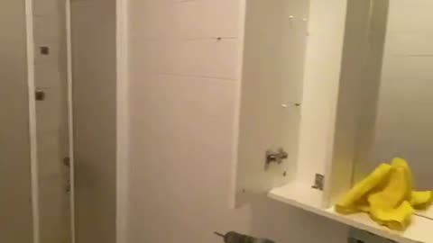 "Before & After Bathroom Renovation – Shocking Results!"