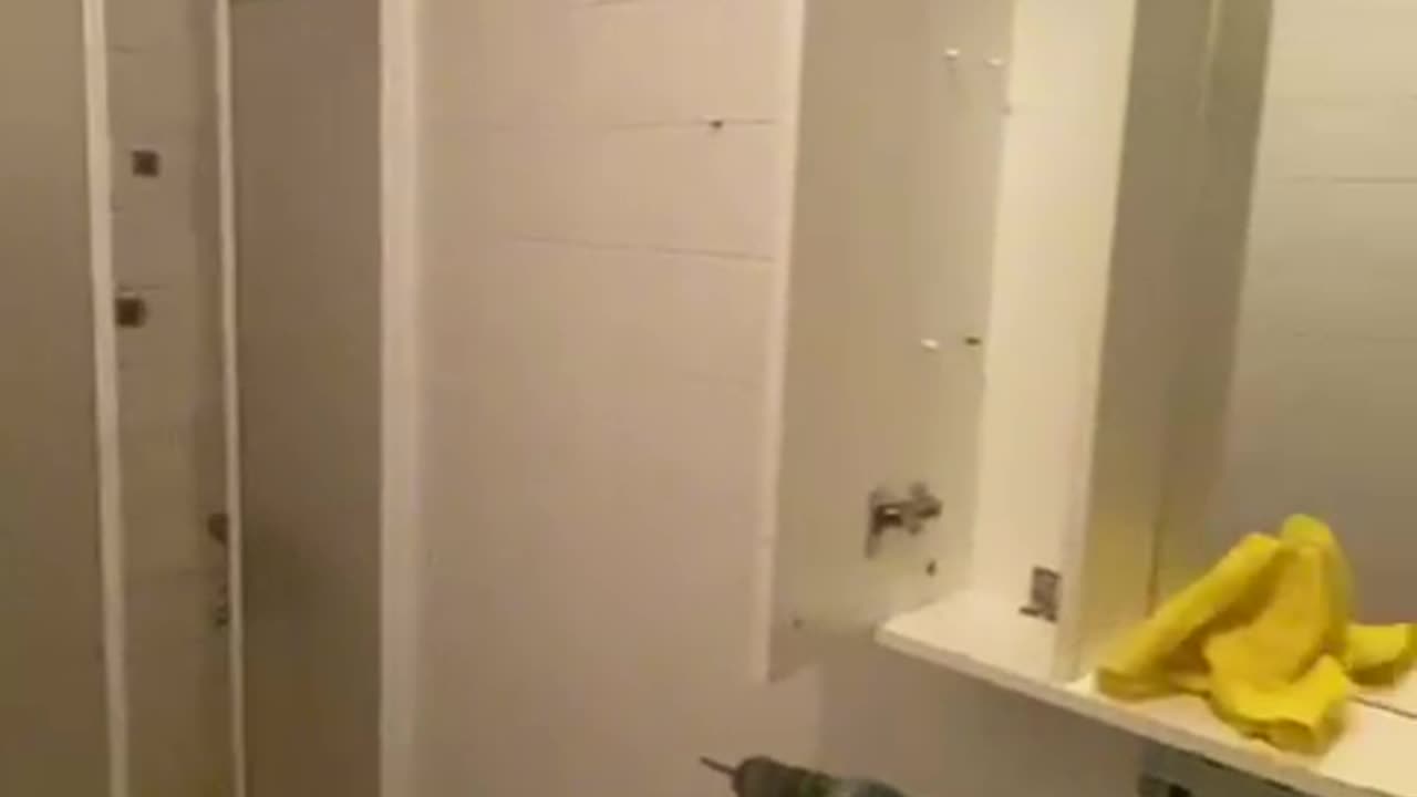 "Before & After Bathroom Renovation – Shocking Results!"