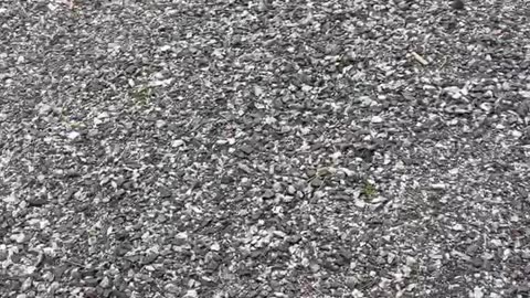 Driveway & Gravel
