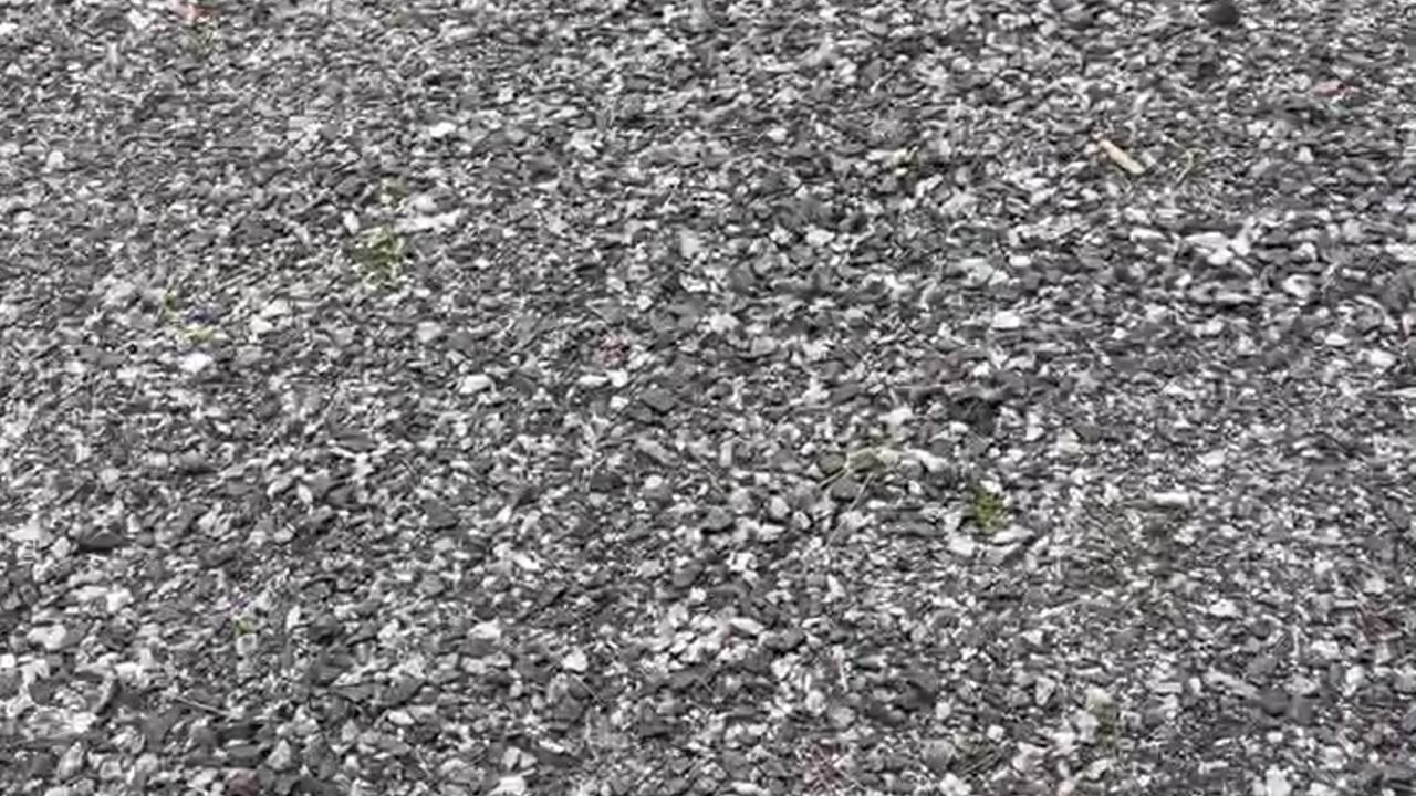 Driveway & Gravel