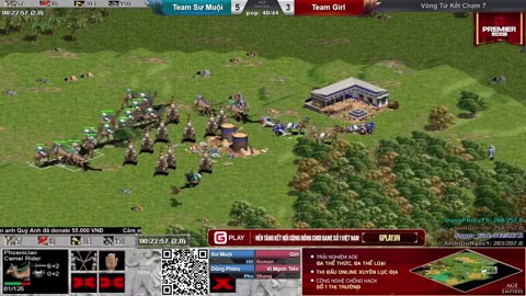 AOE game, old game but full of experts and sparrows in the sun ok