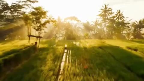 Get ready to add Bali 🏝️ to your travel bucket list!