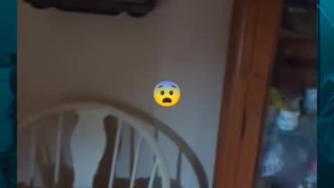 😨👻 Freaky Encounter Caught on Camera! | TheHauntingHour