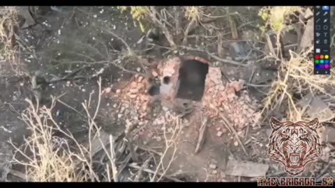 Ukraine war raw footage 5/31/25