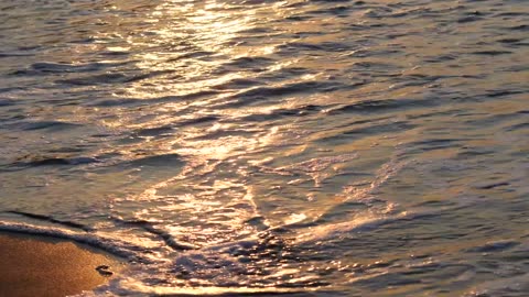 Ocean Shoreline Waves