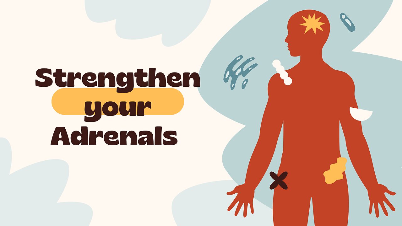 Strengthen your Adrenals
