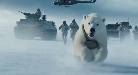 Canadian Polar Bear [Sora]