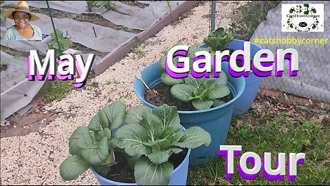 May Garden Tour - #catshobbycorner #gardening