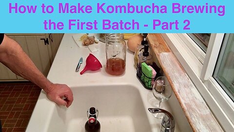 How to Make Kombucha my First Batch - Part 2